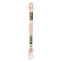 DMC Mouliné Special - Colour 948 - 8m skein