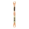 DMC Mouliné Special - Colore 951 - Matassina 8m
