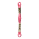 DMC Mouliné Special - Colour 957 - 8m skein