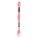 DMC Mouliné Special - Colour 604 - 8m skein