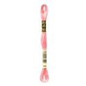DMC Mouliné Special - Colore 894 - Matassina 8m