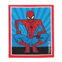 Spider man  square iron-on embroidered patch