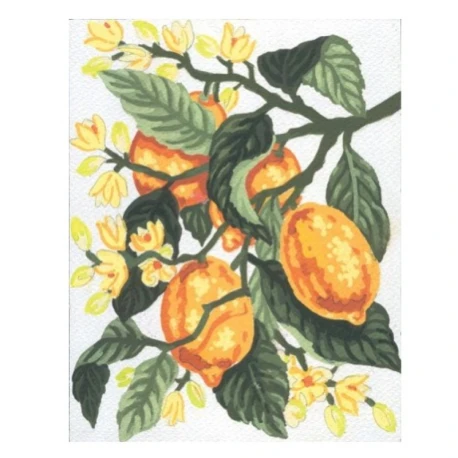 Kit Mezzopunto limoni e fiori - set completo di ago e fili by Collection D'Art