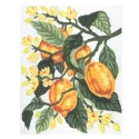 Lemon and Flower Half Stitch Kit with needle and yarns