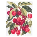 Cherry branch half stitch kit with needle and yarns