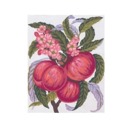 Kit Mezzopunto pesche e fiori - set completo di ago e fili by Collection D'Art 2