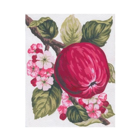 Kit Mezzopunto mela e fiori - set completo di ago e fili by Collection D'Art