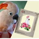 Parrot with flowers half-stitch kit – complete set with needle and threads by Collection D'Art