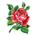 Kit Mezzopunto rosa rossa vittoriana - set completo di ago e fili by Collection D'Art