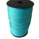 Cordino Thai Swan Slim per realizzare borse rocchettone da 500gr. - colore azzurro maldive	