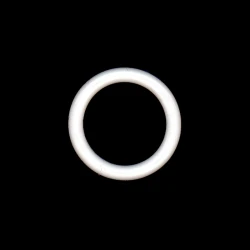 White plastic rings for curtains 16mm