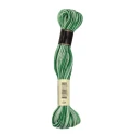 Anchor Cotone da Ricamo - Colore 1214 Sfumato verde - Coton à Broder matassina da 30m