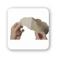 Adhesive Bra